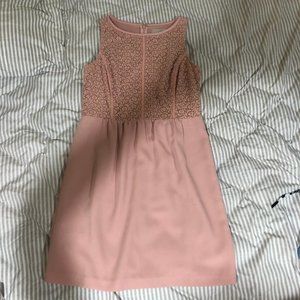 LOFT floral lace pink dress Size 0P NWOT